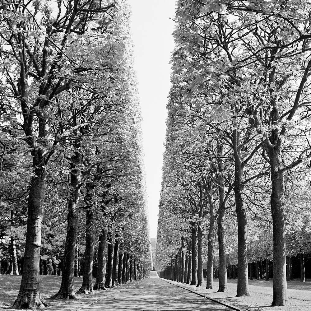 Landscape, Parc de Sceaux, Paris, France, 1995© Rodney Smith